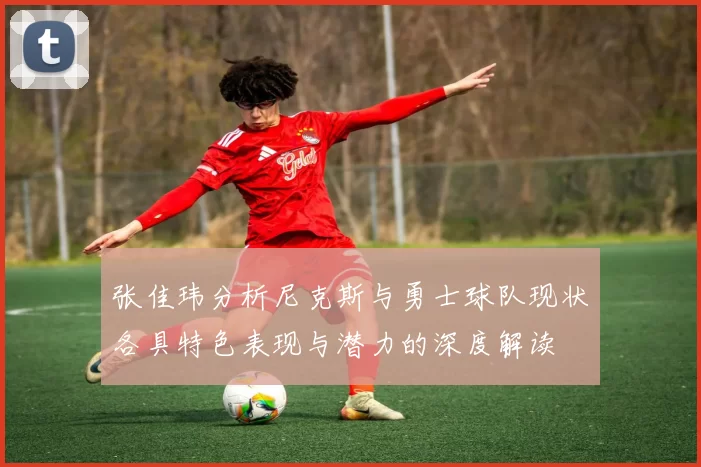 张佳玮分析尼克斯与勇士球队现状各具特色表现与潜力的深度解读